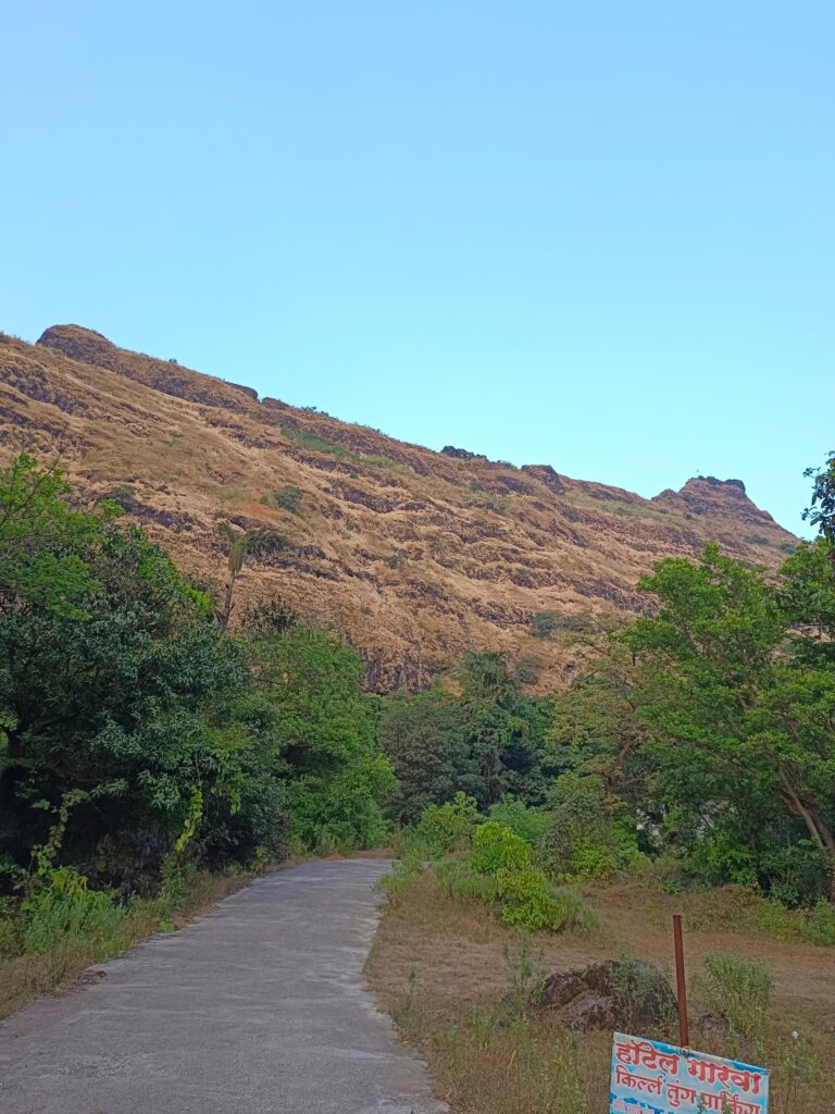 tung fort image