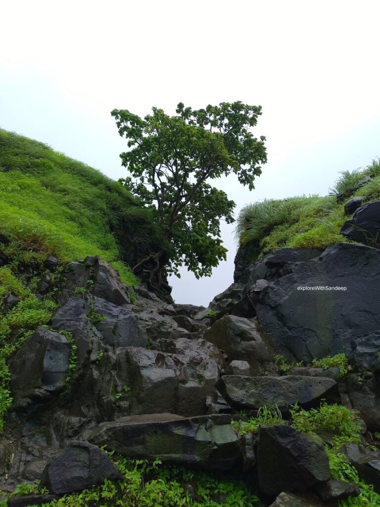 tikona fort