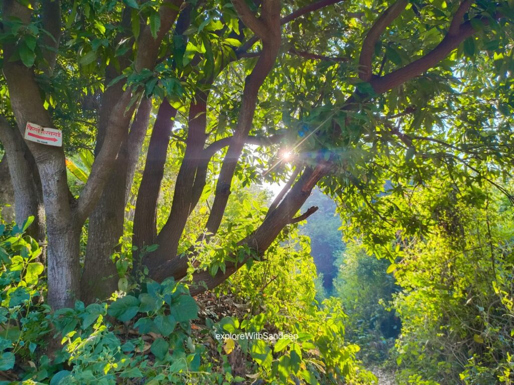 sarasgad fort trek