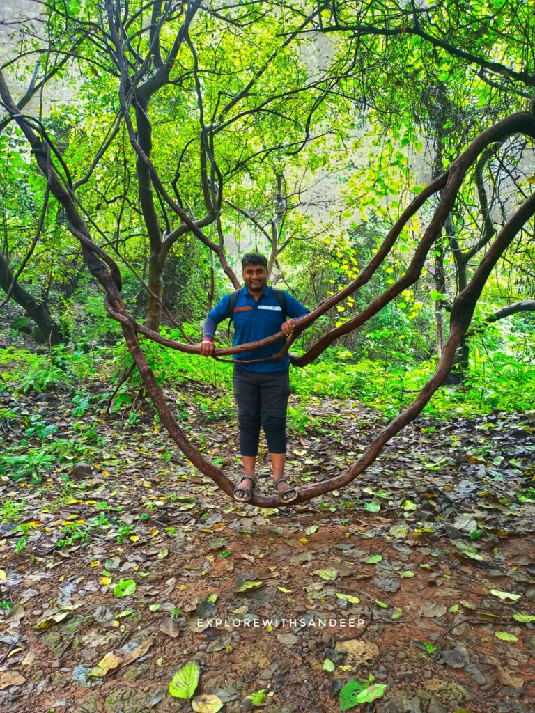 kalavantin durg