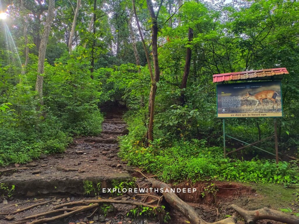 Karnala Fort