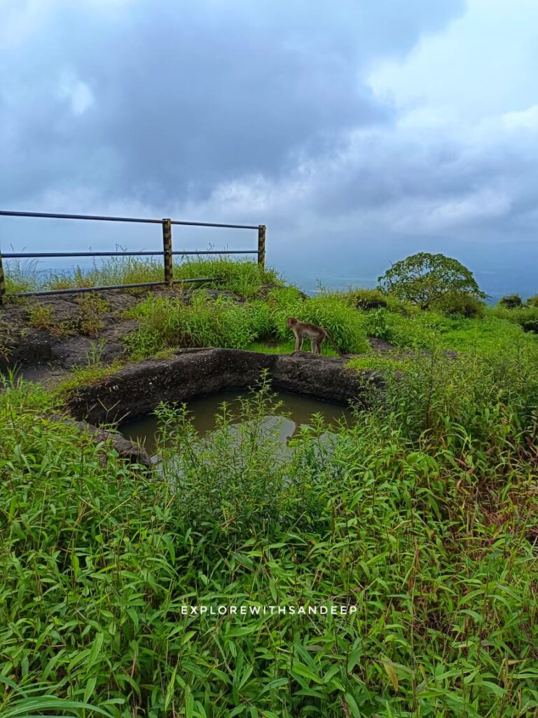 Karnala Fort