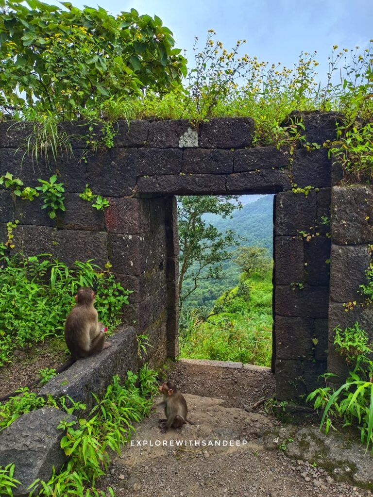 Karnala Fort
