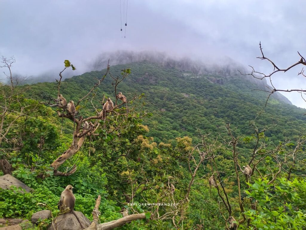 girnar temple